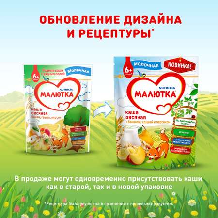 Каша молочная Малютка овсяная с фруктами 220г