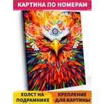 Картина по номерам Hobby Paint Холст на подрамнике 40х50 см Яркий орел