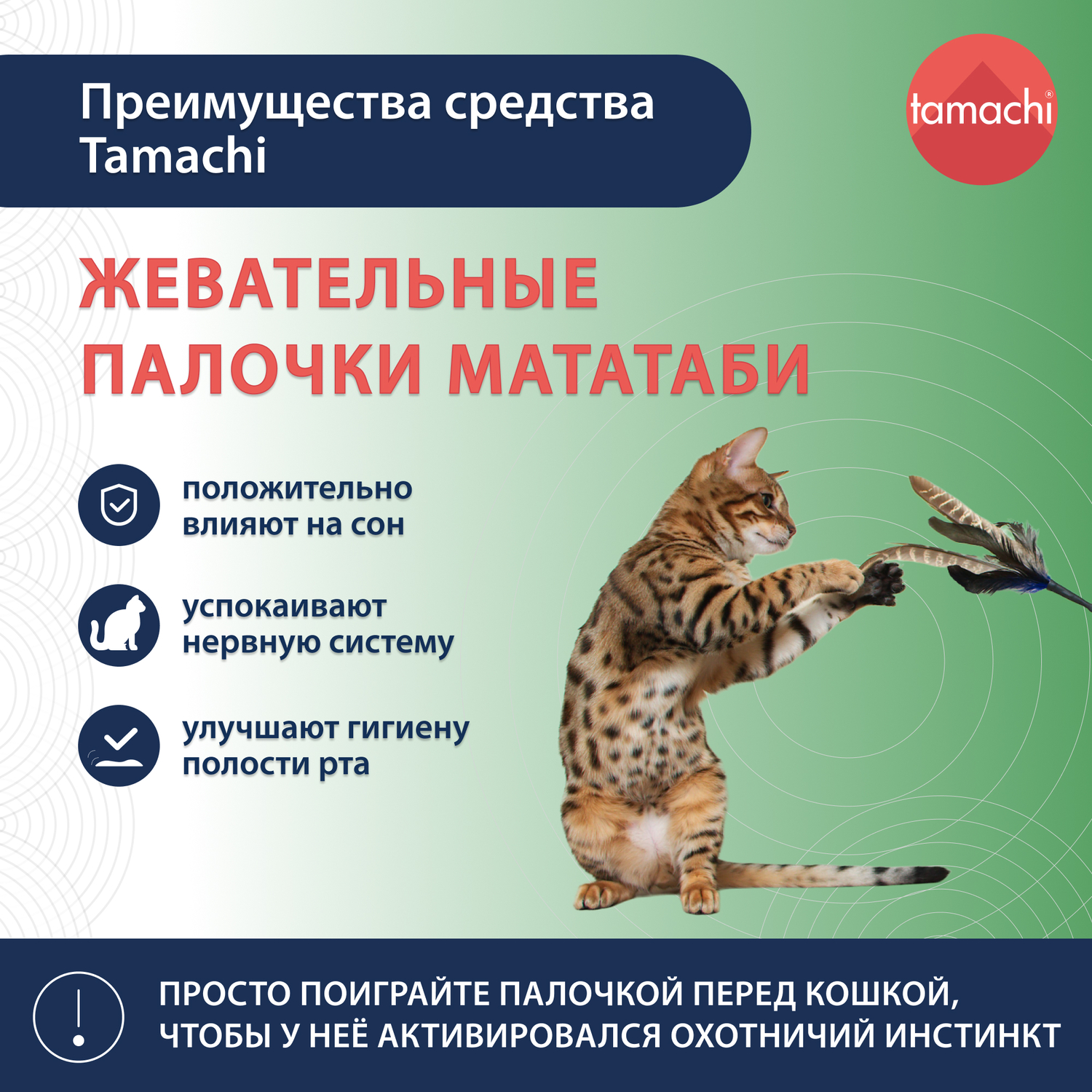 Игрушка для кошек Tamachi Мататаби жевательные палочки 3шт купить по цене  297 ₽ с доставкой в Москве и России, отзывы, фото