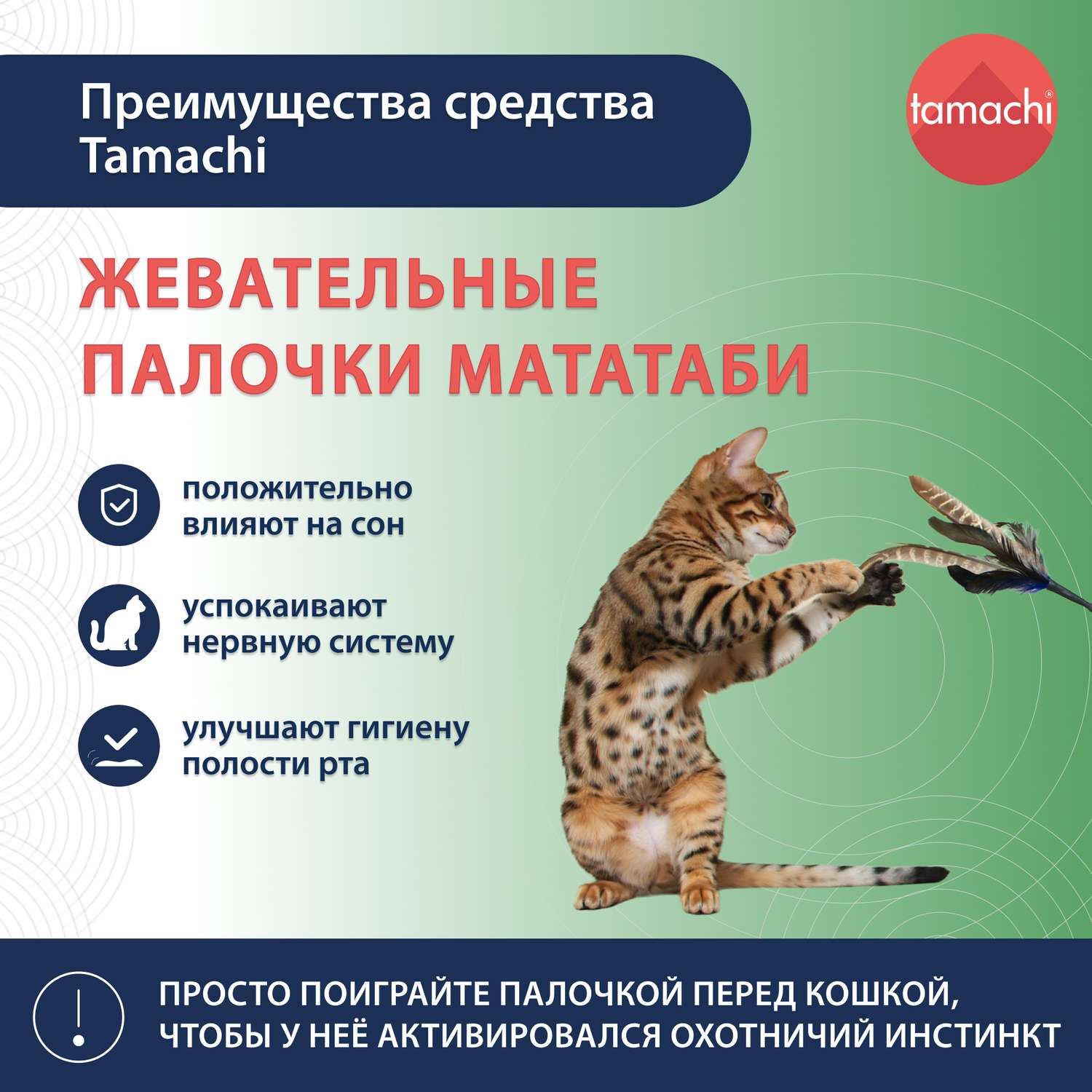 Игрушка для кошек Tamachi Мататаби жевательные палочки 3шт - фото 3