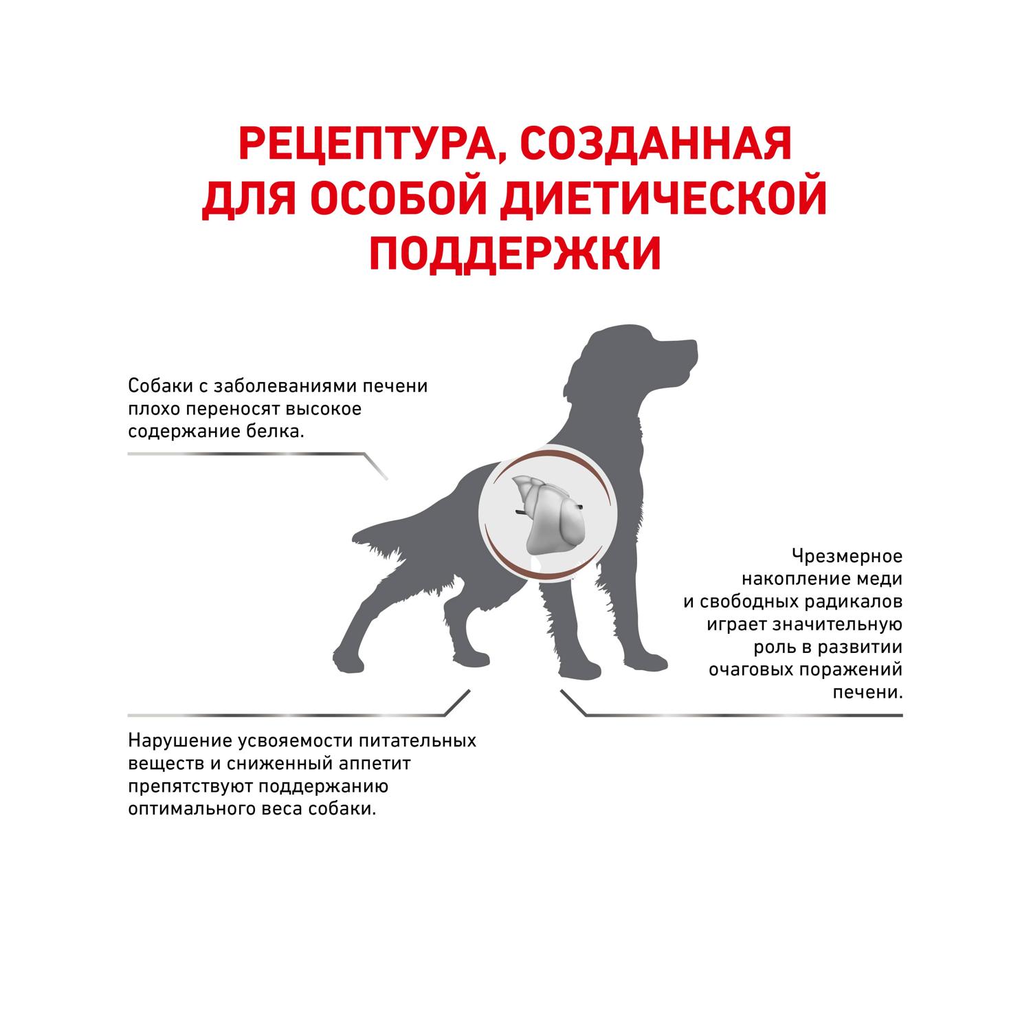 Корм для собак ROYAL CANIN Hepatic HF16 при заболеваниях печени 1,5 кг