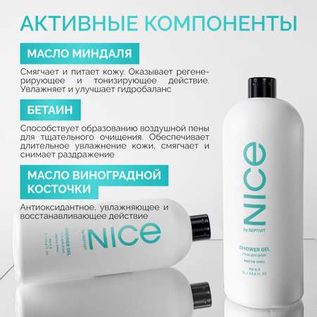 Гель для душа NICE by Septivit Arctic Chill 1л