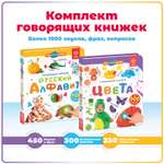 Комплект говорящих книжек BertToys Нажималки: Цвета + Русский алфавит