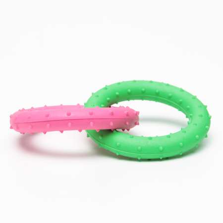 Игрушка Пижон жевательная суперпрочная «Два кольца» зелёная/розовая