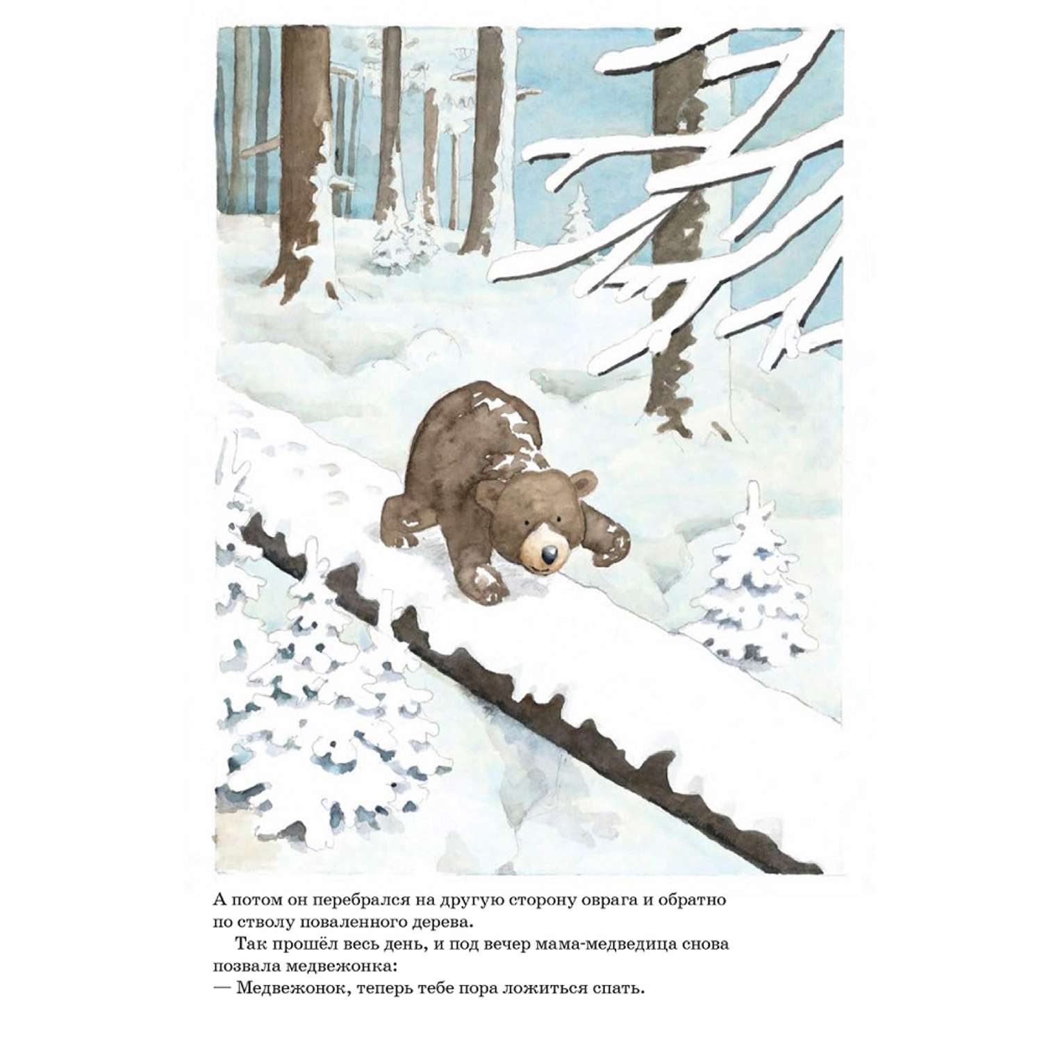Книга Добрая книга Ложись спать медвежонок! Иллюстрации Яна Могенсена - фото 10