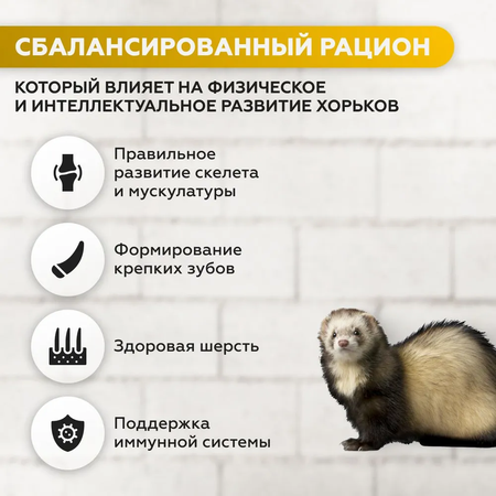 Сухой корм Ночной охотник Сухой корм для хорьков