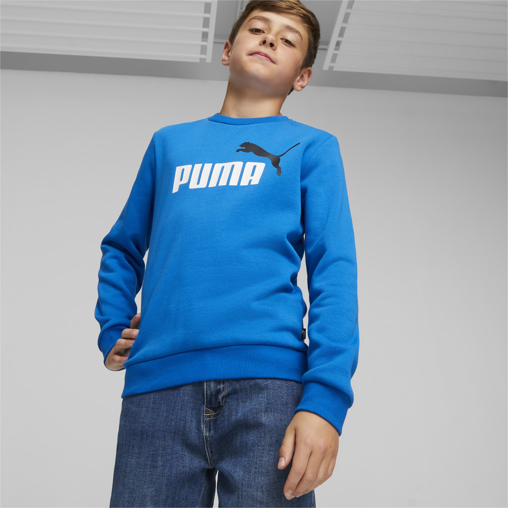 Свитшот Puma 58698648 - фото 1