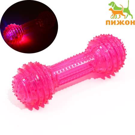 Игрушка для собак Пижон светящаяся Круглая кость 15 см розовая