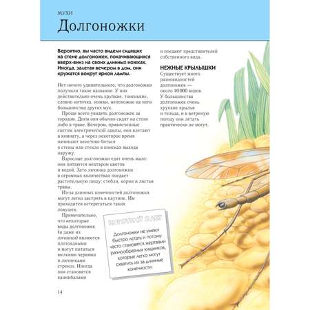 Книга ЭКСМО-ПРЕСС Насекомые Полная энциклопедия