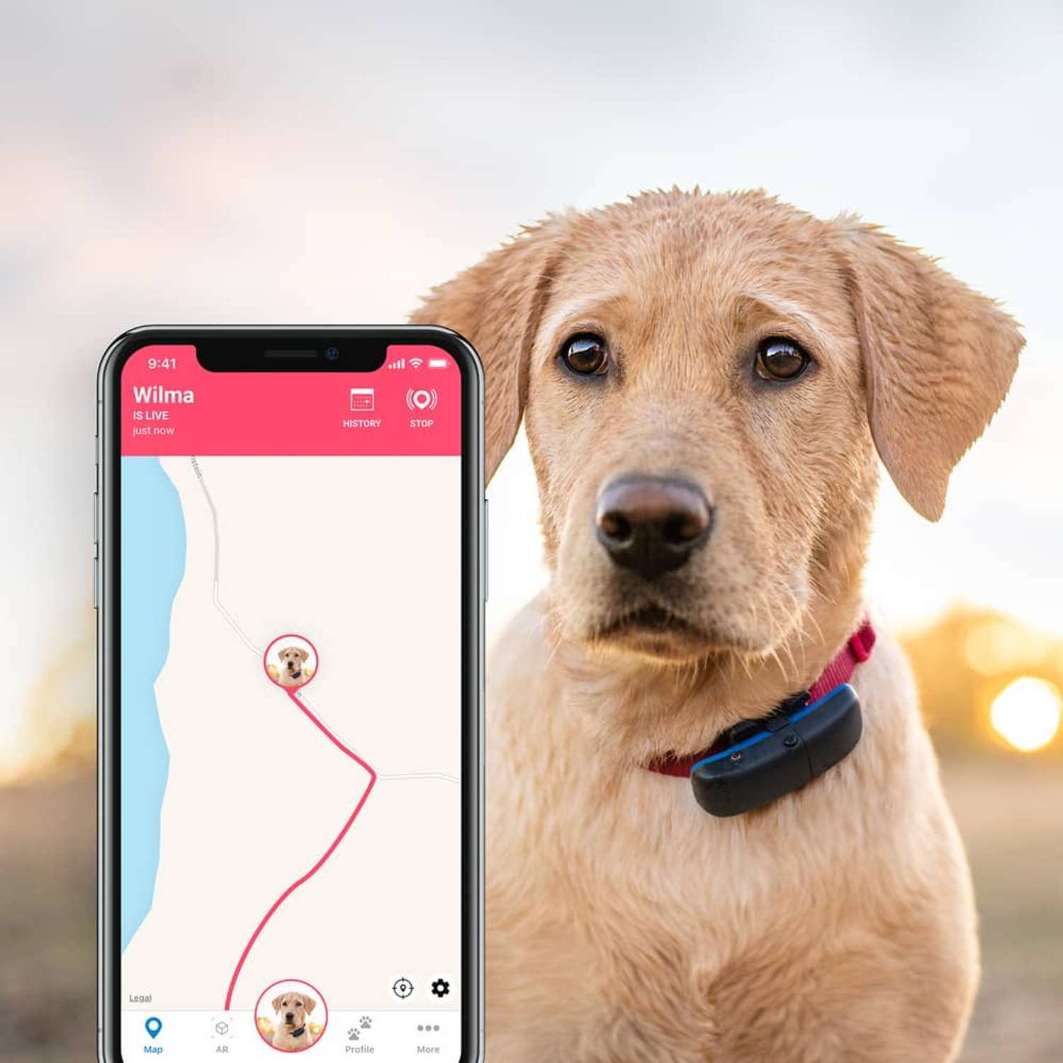 Жпс для собак. Tractive GPS Dog. GPS трекер Tractive. Трекер для кошек Tractive GPS. GPS трекер для собак.