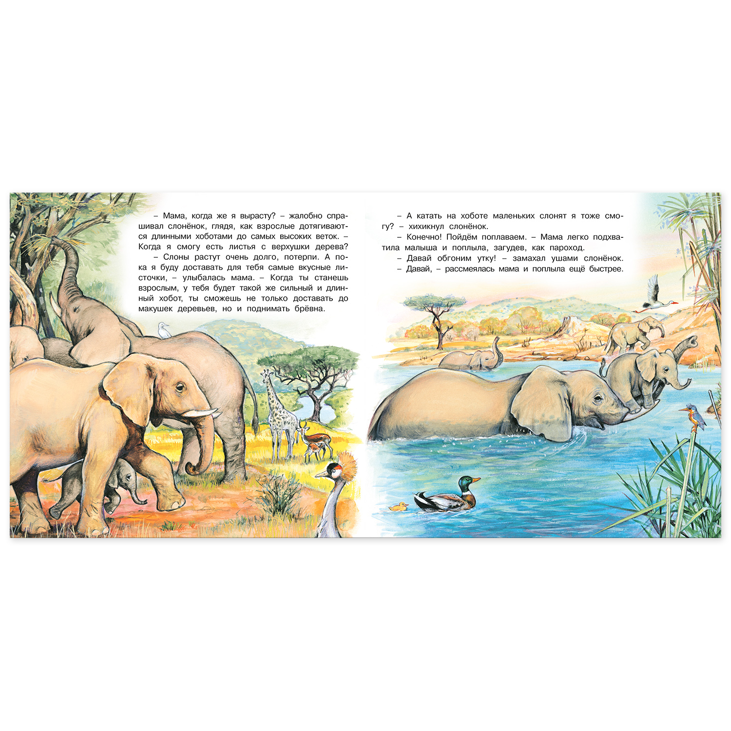 Книга Фламинго Познаем мир вокруг нас. Приключения слонёнка - фото 4