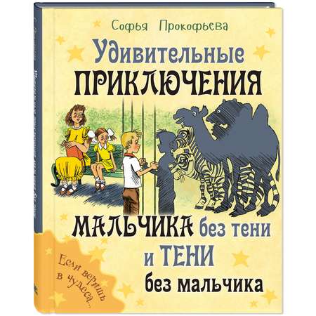 Книга ЭНАС-книга Мальчик без тени