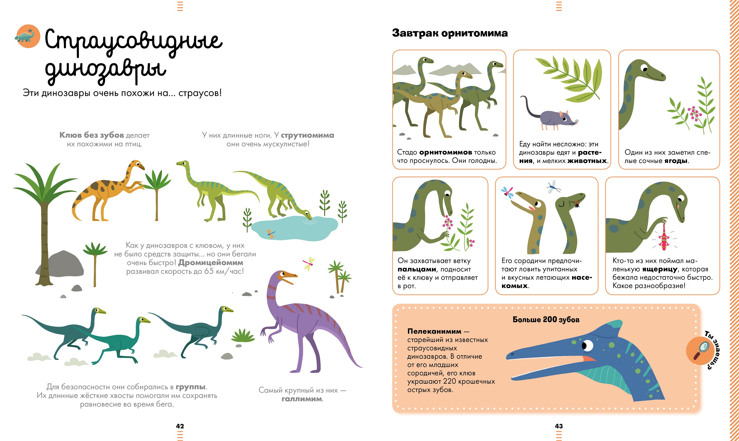 Книга Clever Большая энциклопедия динозавров - фото 5