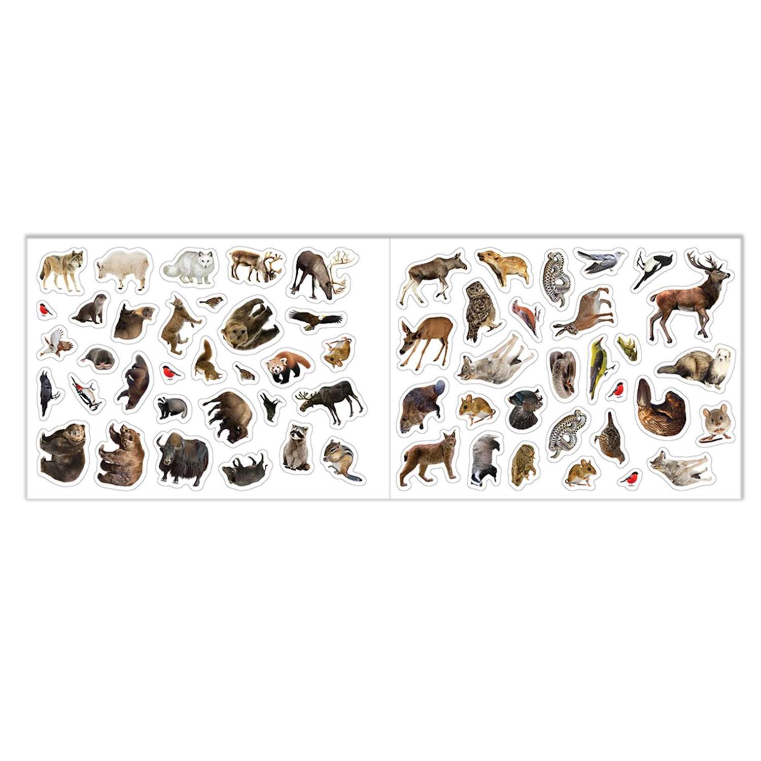Набор Буква-ленд книг 100 наклеек «Изучаем животных» 3 шт по 12 стр - фото 5