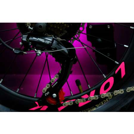 Велосипед детский Lorak Race 20 матовый фиолетовый/белый