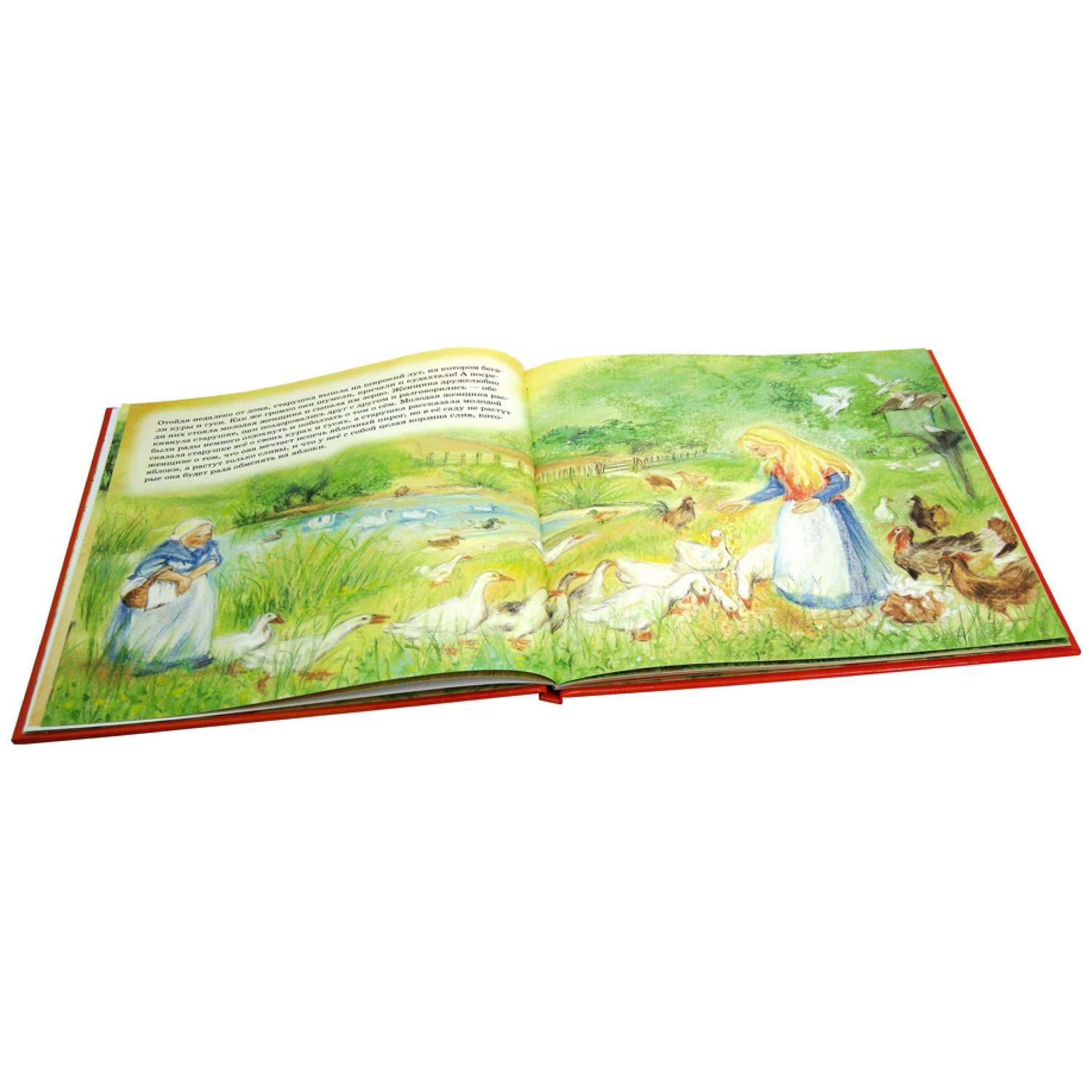 Книга Добрая книга Яблочный пирог. Иллюстрации Мэриан ван Зейл - фото 5