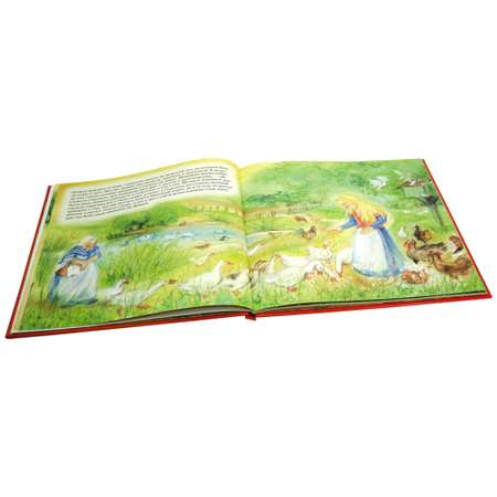 Книга Добрая книга Яблочный пирог. Иллюстрации Мэриан ван Зейл
