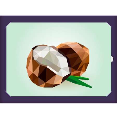 Набор для творчества Фрея RSNP-0006 Аппликация с наклейками «Спелый кокос» 21 х 14.8 см