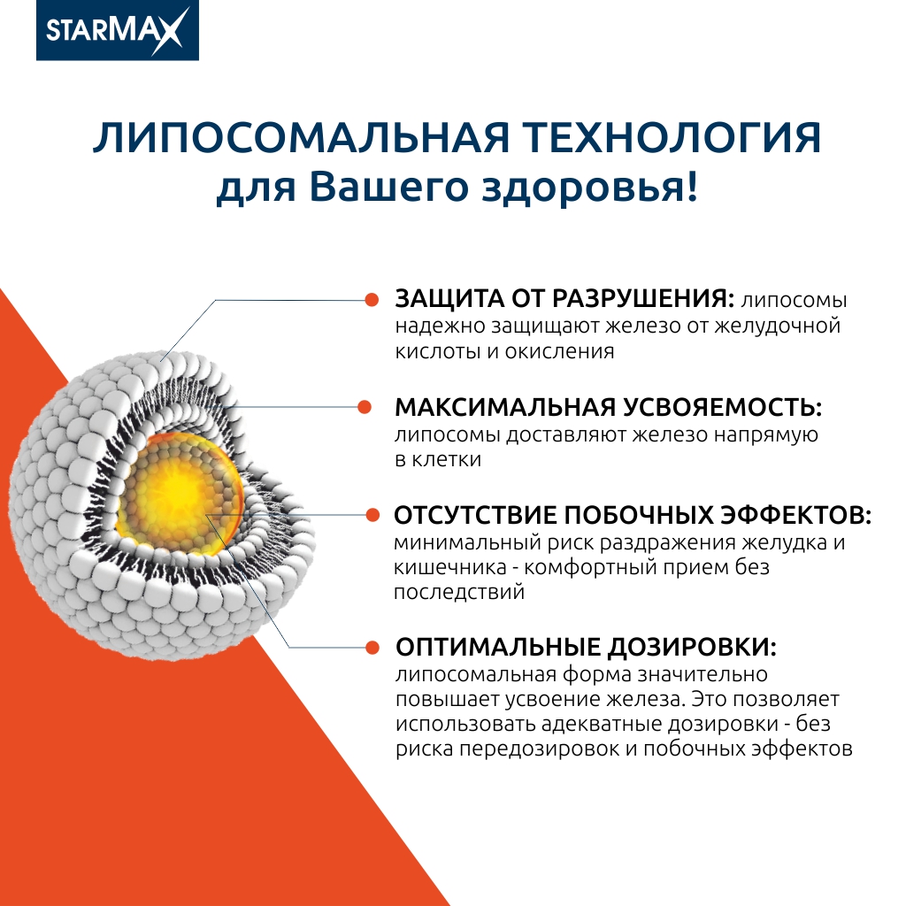 БАД VECTOR-MEDICA Железо липосомальное + Витамины С, В9, В12 436 мг №60 капс. - фото 5