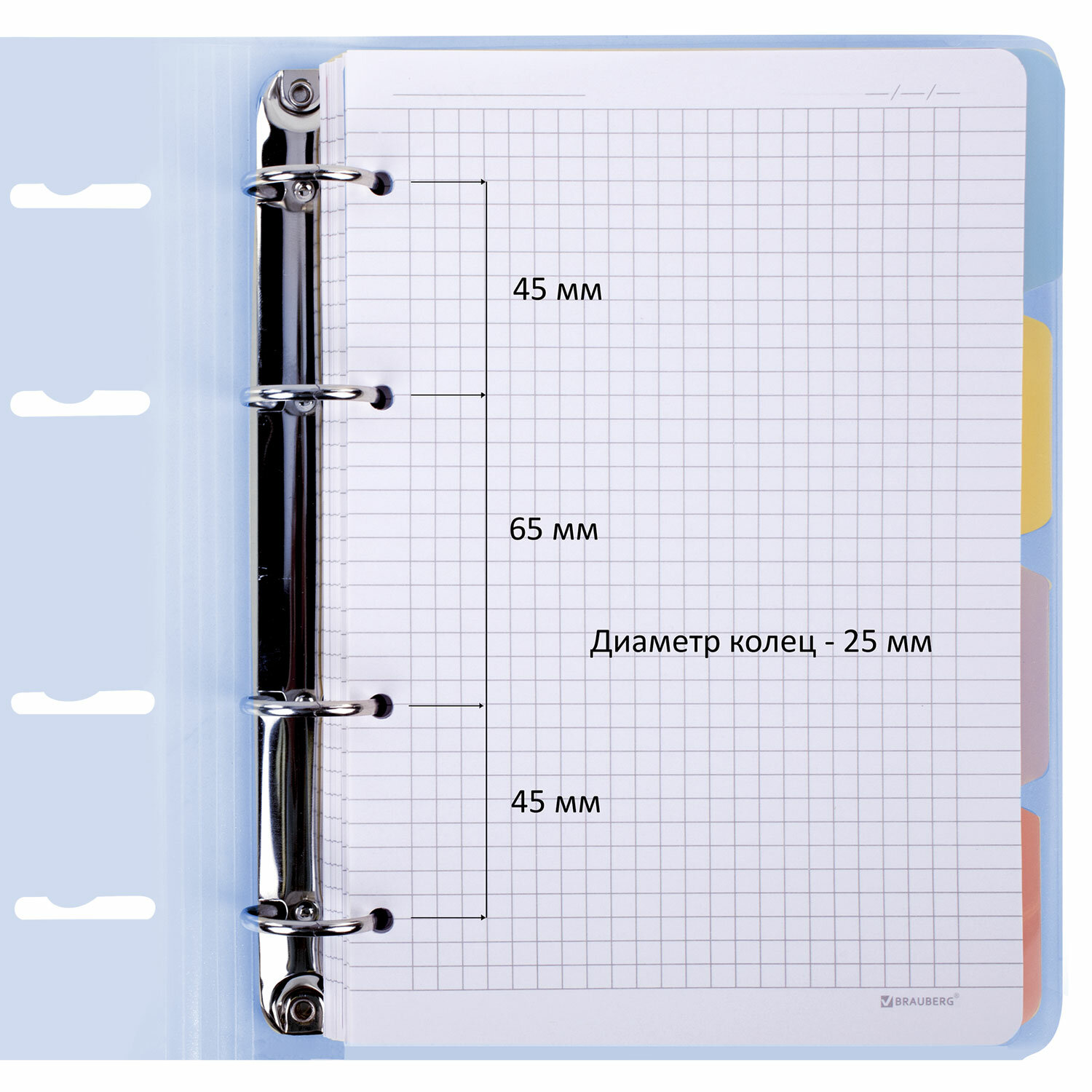 Тетрадь на кольцах Brauberg А5 со сменным блоком 120 листов с резинкой и разделителями - фото 4