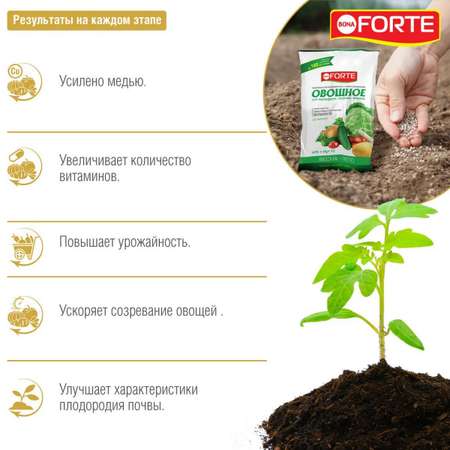 Удобрение Bona Forte Овощное 2.5 кг