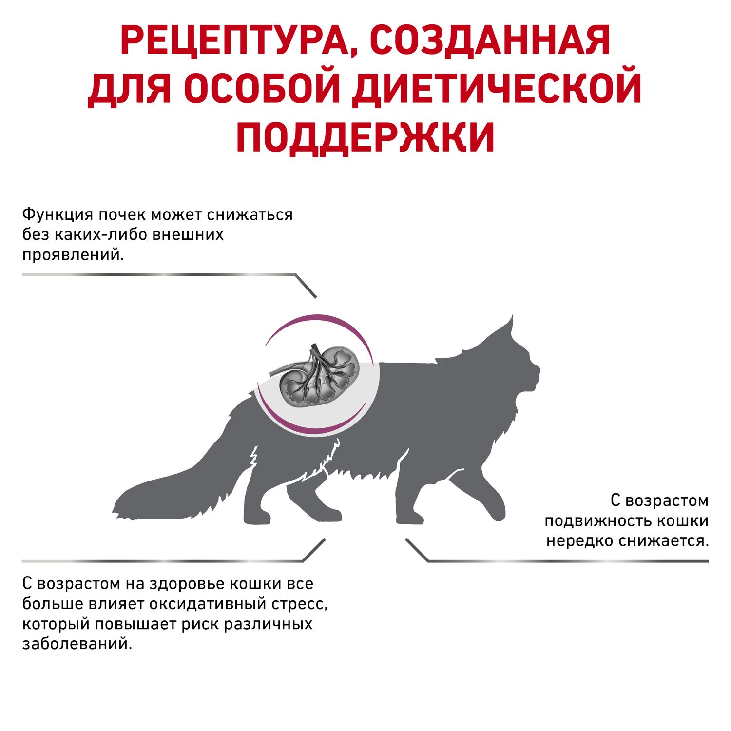 Корм для кошек ROYAL CANIN Early Renal Feline при ранней стадии почечной недостаточности 1.5кг - фото 3