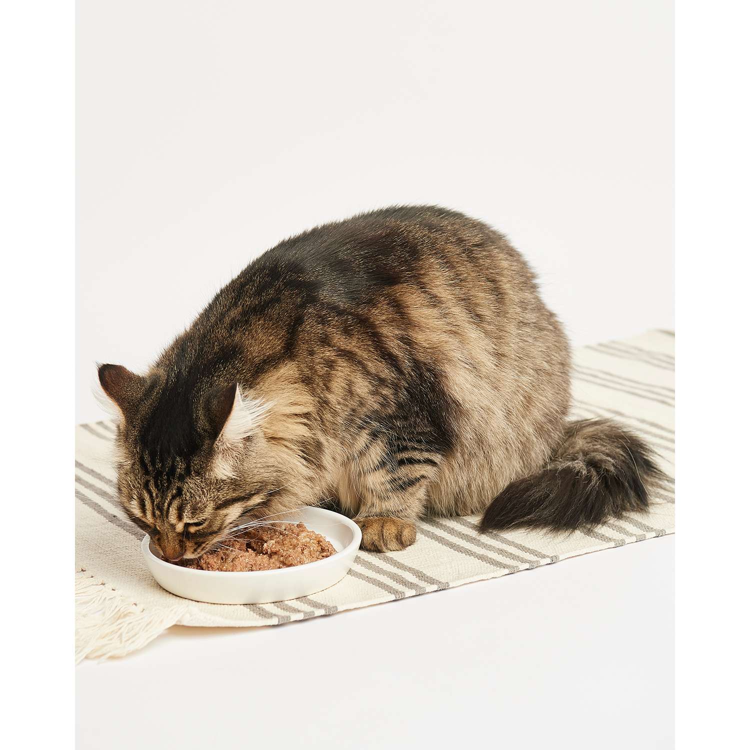 Корм для кошек Carnica 100г паштет из индейки для поддержания веса консервированный - фото 3