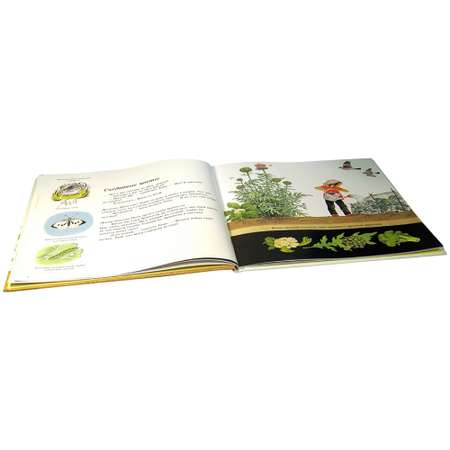 Книга Добрая книга Как растут овощи? Иллюстрации Герды Мюллер