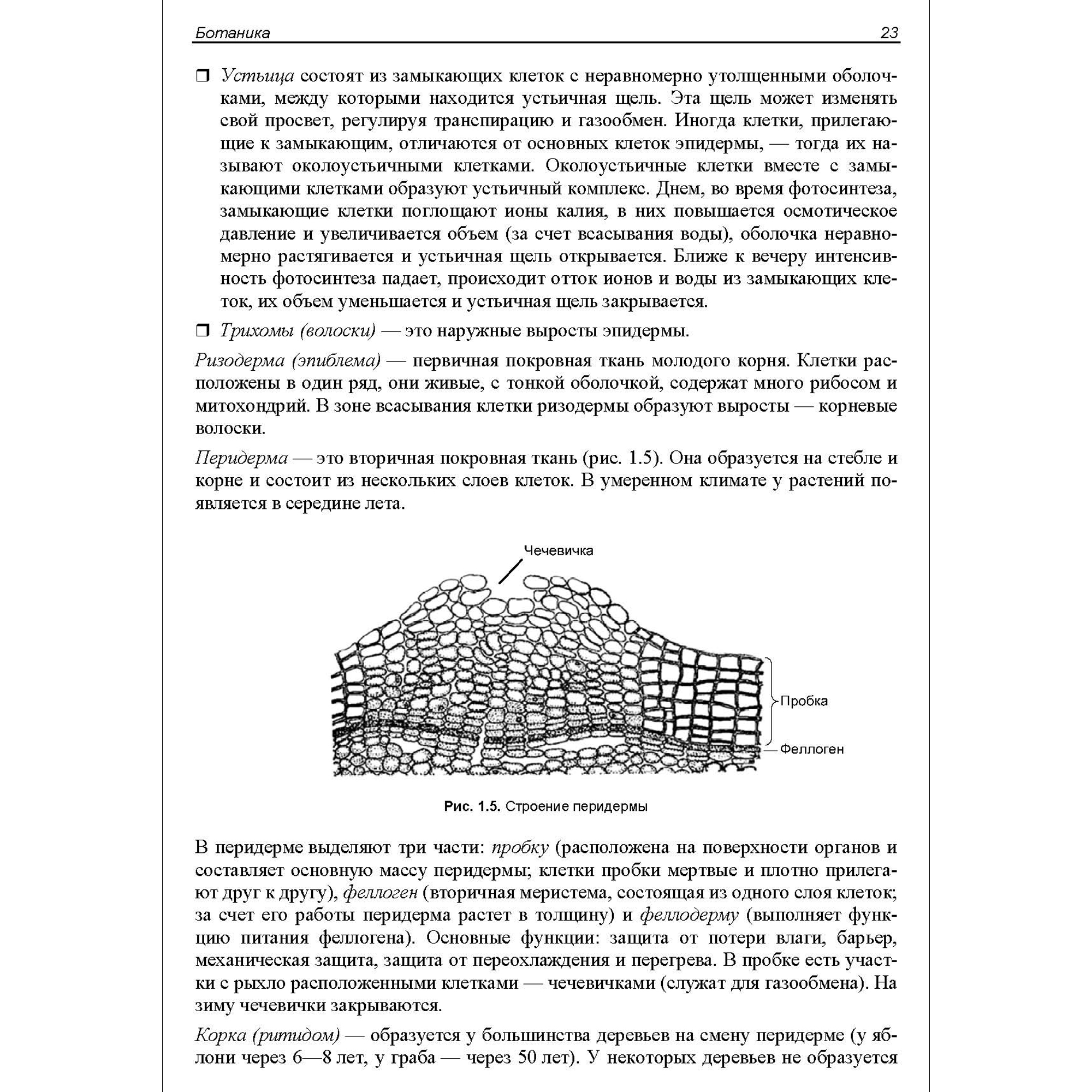 Книга BHV ЕГЭ по биологии. Практическая подготовка. 7-е изд. - фото 7