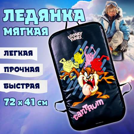 Ледянка мягкая 1TOY Looney Tunes 72х41 см прямоугольные