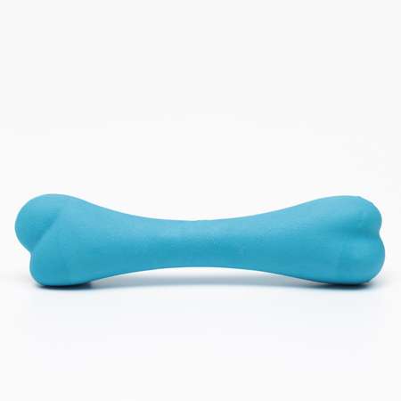 Игрушка Пижон жевательная «Немалая кость» TPR 16 см синяя