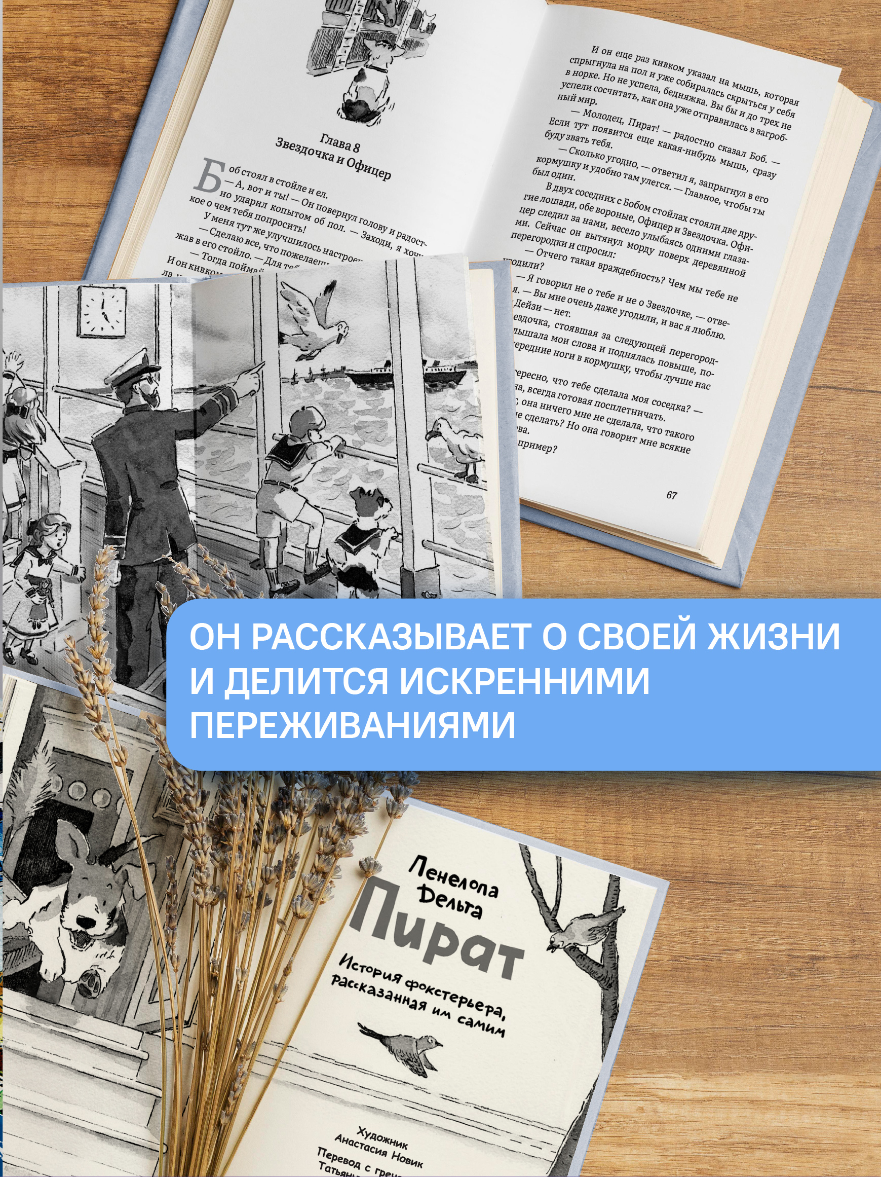 Пират История фокстерьера Никея книга для детей - фото 5