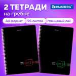 Тетрадь в клетку Brauberg А4 96 листов общая для школы комплект 2 штуки на пружине