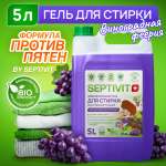 Гель для стирки SEPTIVIT Premium Виноградная Феерия 5л