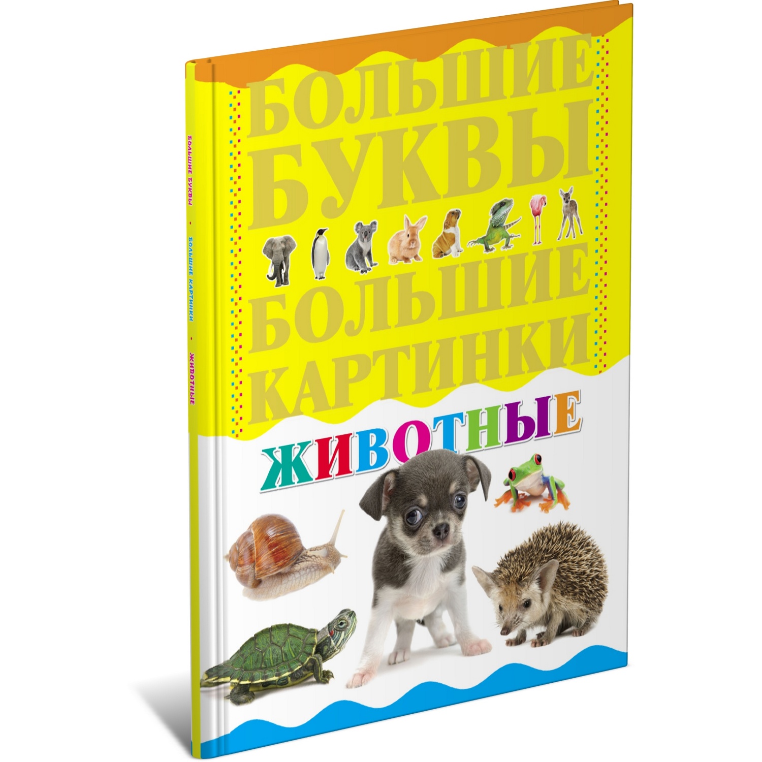 Книга Харвест Животные. Энциклопедия для малышей - фото 1