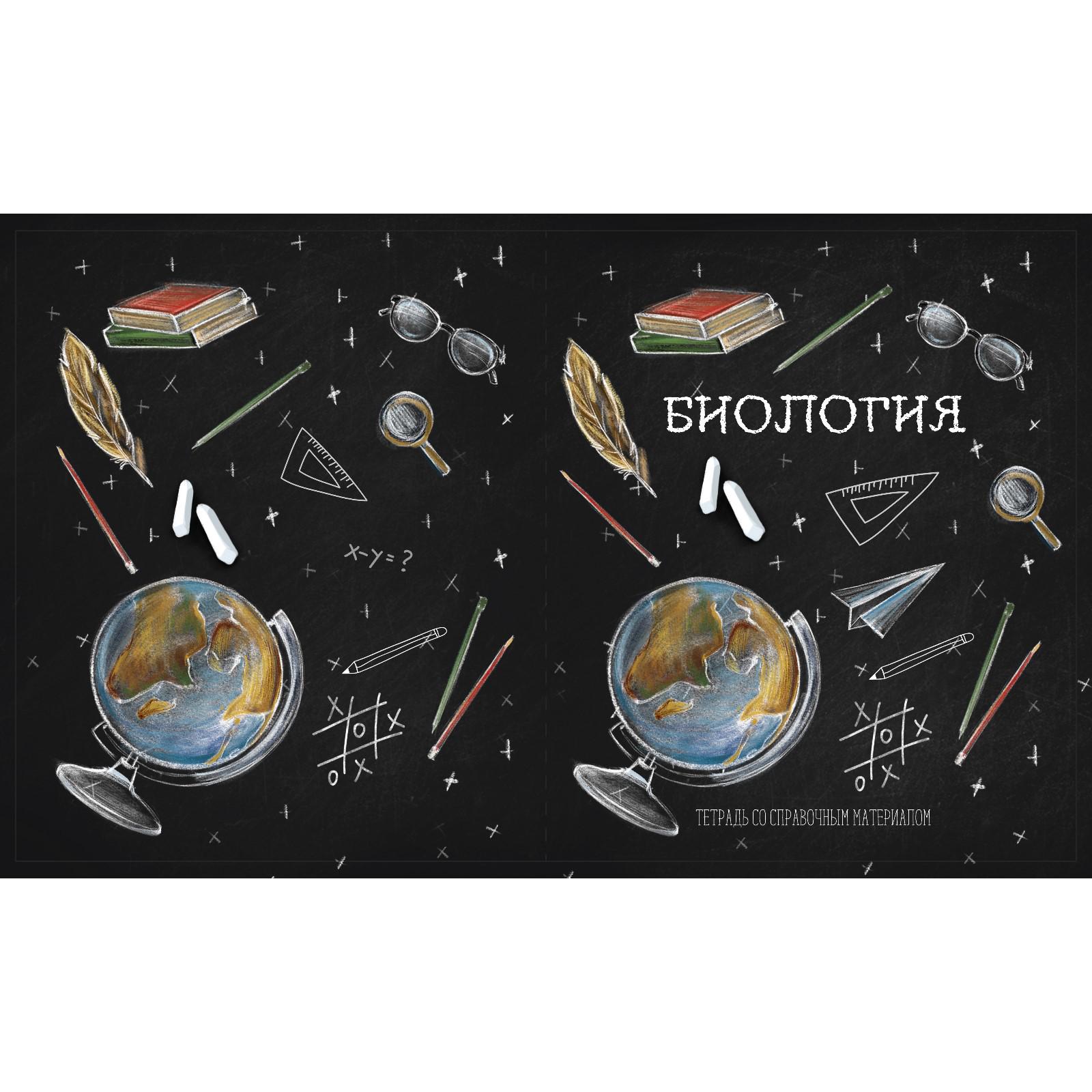 Комплект тетрадей Calligrata 12 шт предметные 48 листов Доска - фото 11