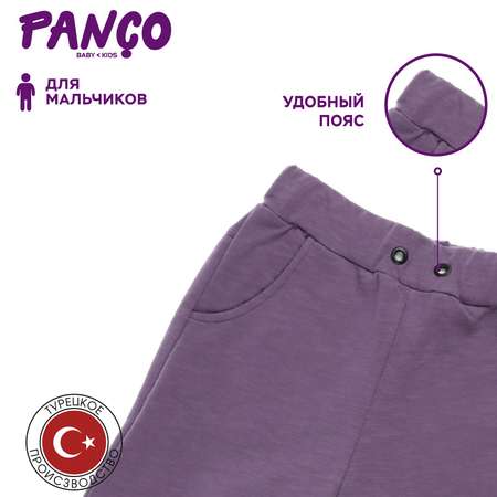 Брюки PANCO