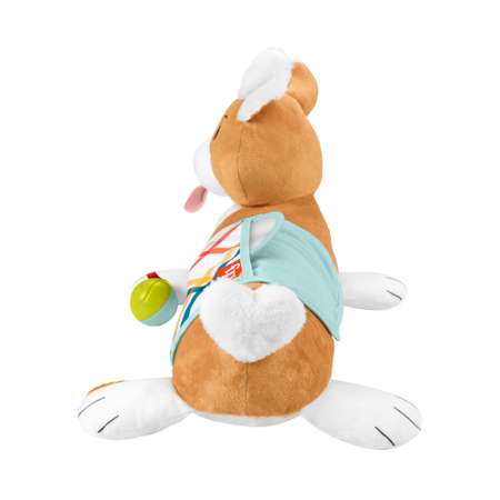 Игрушка Fisher Price Puppy Tummy Wedge