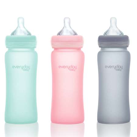 Бутылочка Everyday Baby Healthy стеклянная с защитным силиконовым покрытием 240 мл мятный