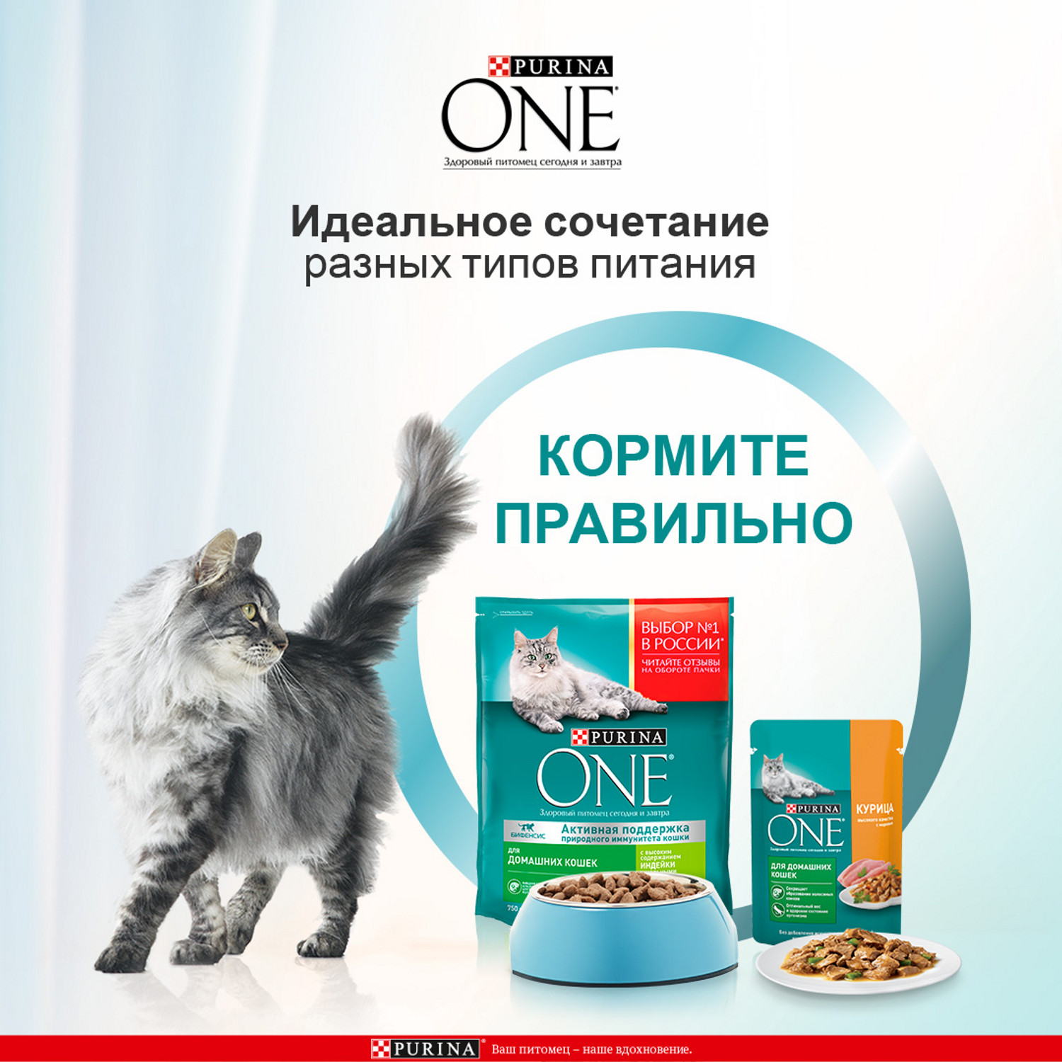 Влажный корм для кошек Purina One 0.075 кг курица (для домашних, полнорационный) - фото 5