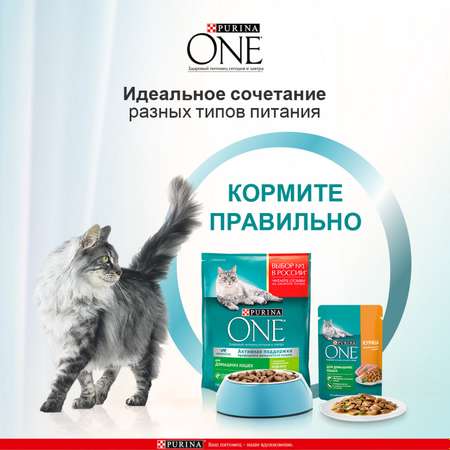 Корм для кошек Purina One домашняя курица-морковь 75г