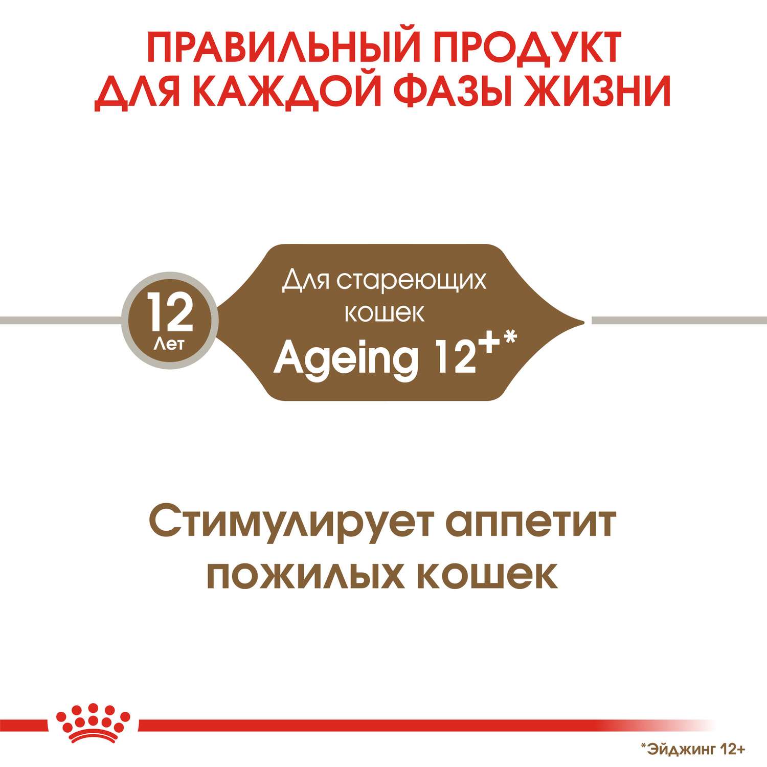 Корм сухой для пожилых кошек ROYAL CANIN Ageing 4кг - фото 4