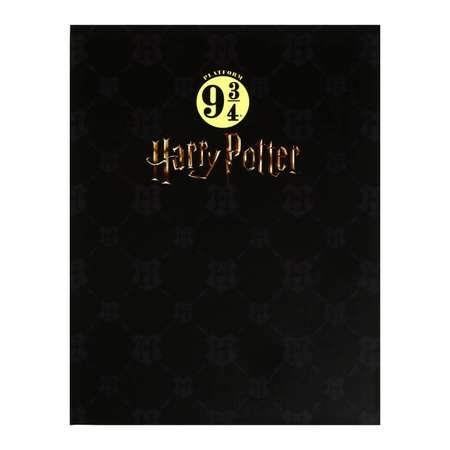 Тетрадь Sima-Land На 4-х кольцах А5 160 листов в клетку «Гарри Поттер» твёрдая обложка матовая ламинация