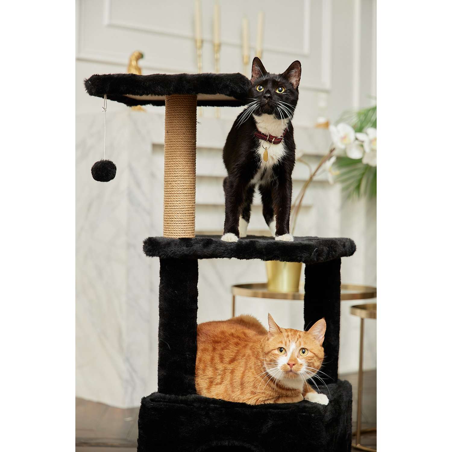 Домик для кошки с когтеточкой Pet БМФ Черный - фото 6