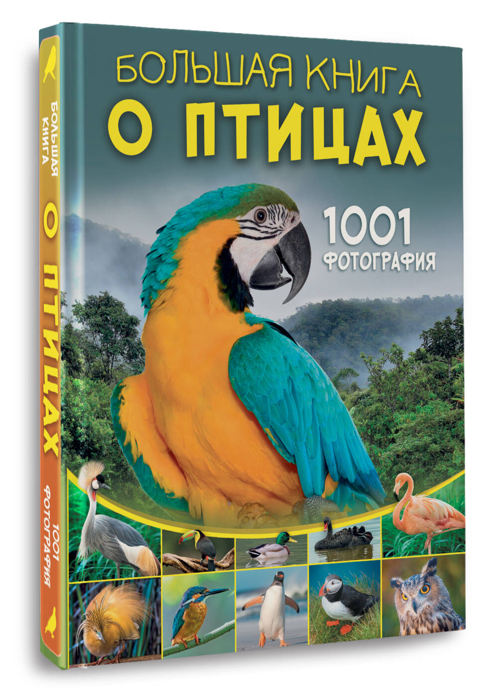 Книга АСТ Большая книга о птицах. 1001 фотография - фото 1