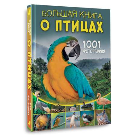 Книга АСТ Большая книга о птицах. 1001 фотография