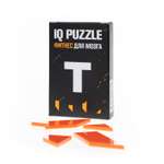 Настольная игра IQ PUZZLE Головоломка