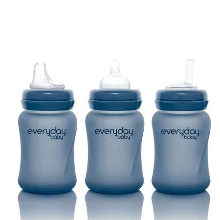 Соска для бутылочек Everyday Baby антиколиковая Healthy 2 шт 3- 6 месяцев
