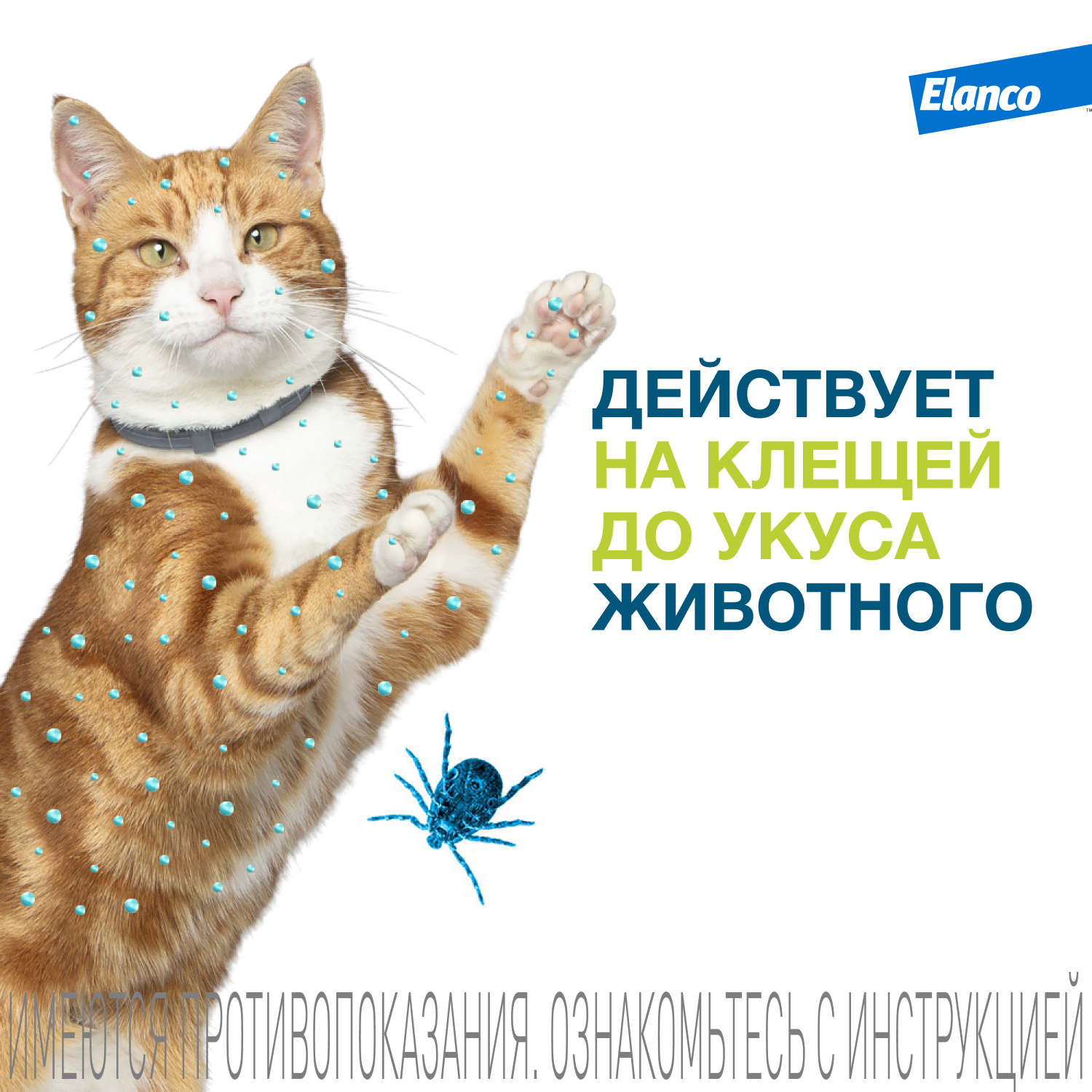 Ошейник для кошек Elanco Foresto от блох и клещей защита 8месяцев 38см 65232 - фото 4