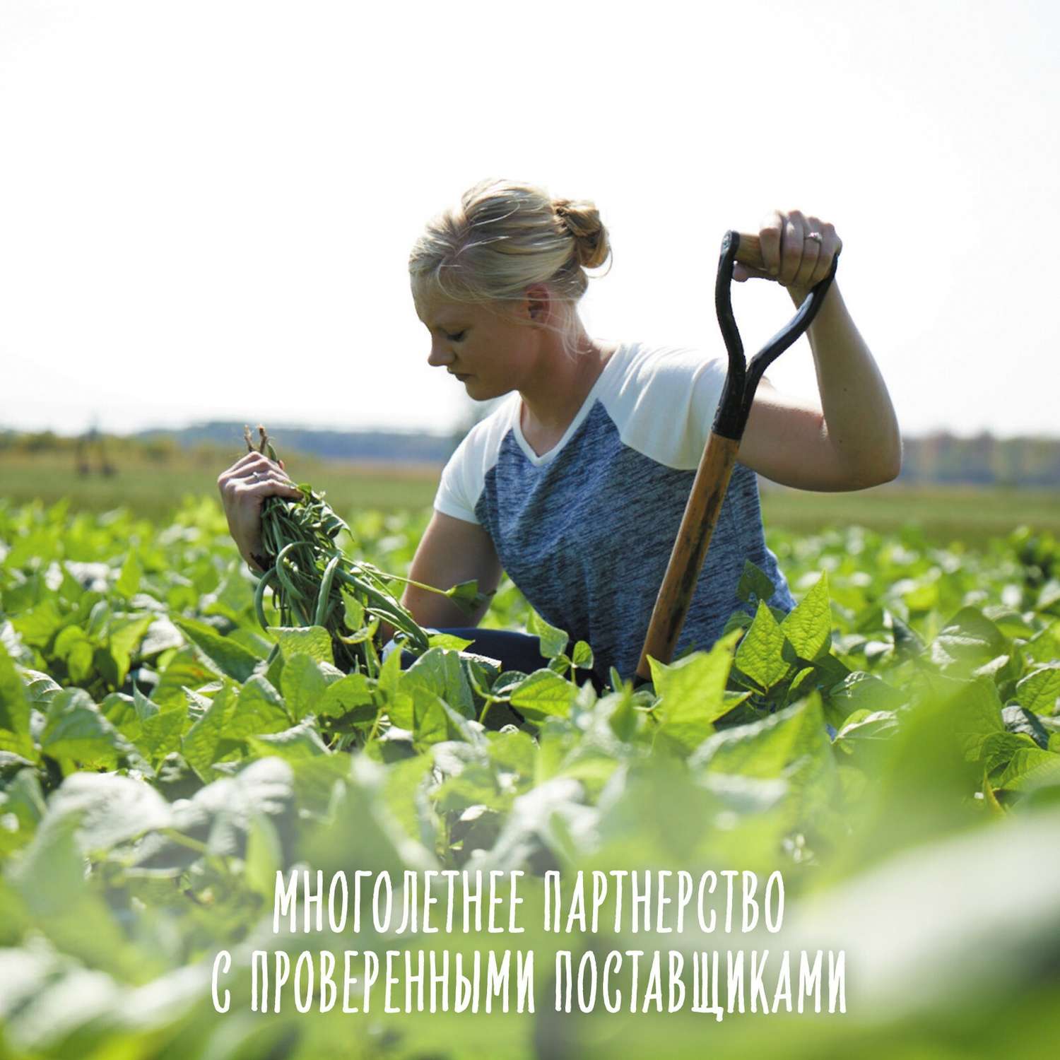 Пюре Gerber груша-яблоко-банан 90г с 6месяцев - фото 5